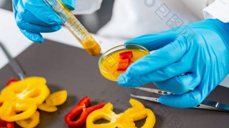 揭秘山东饼干生产厂家排名背后的秘密